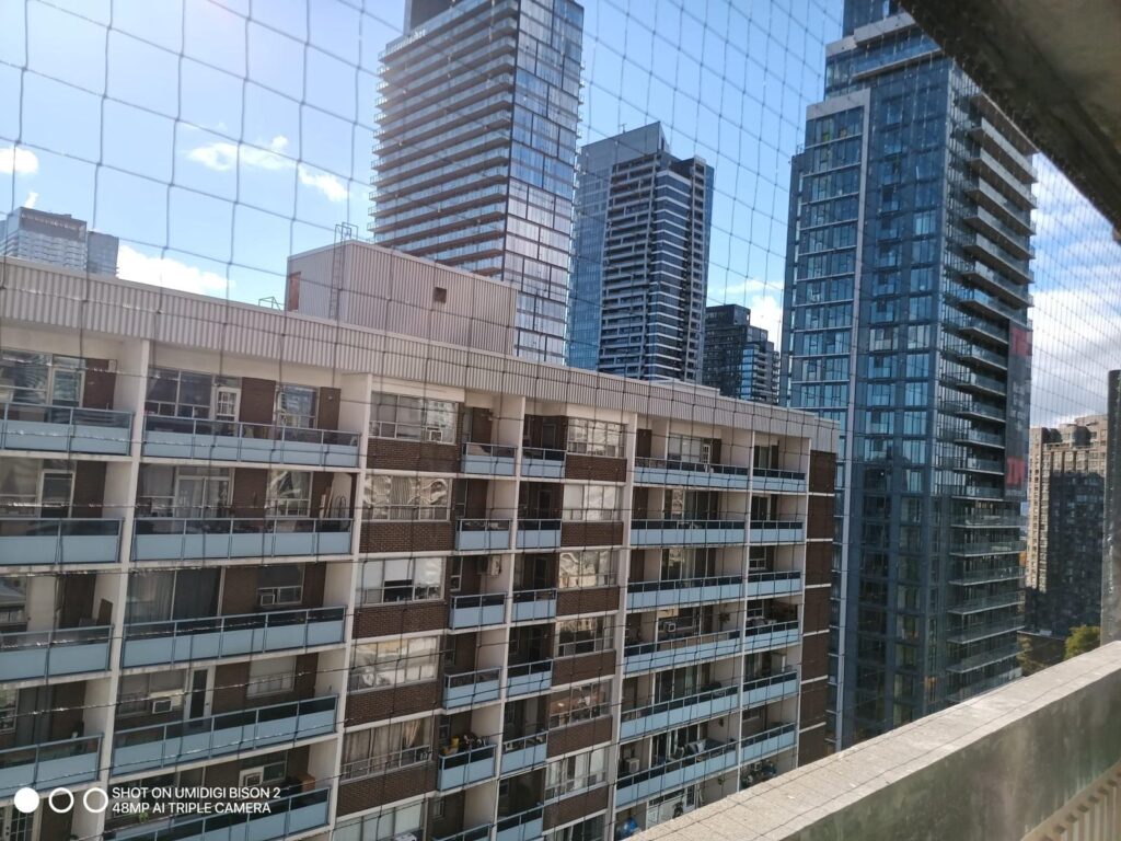 bird control residential hamilton