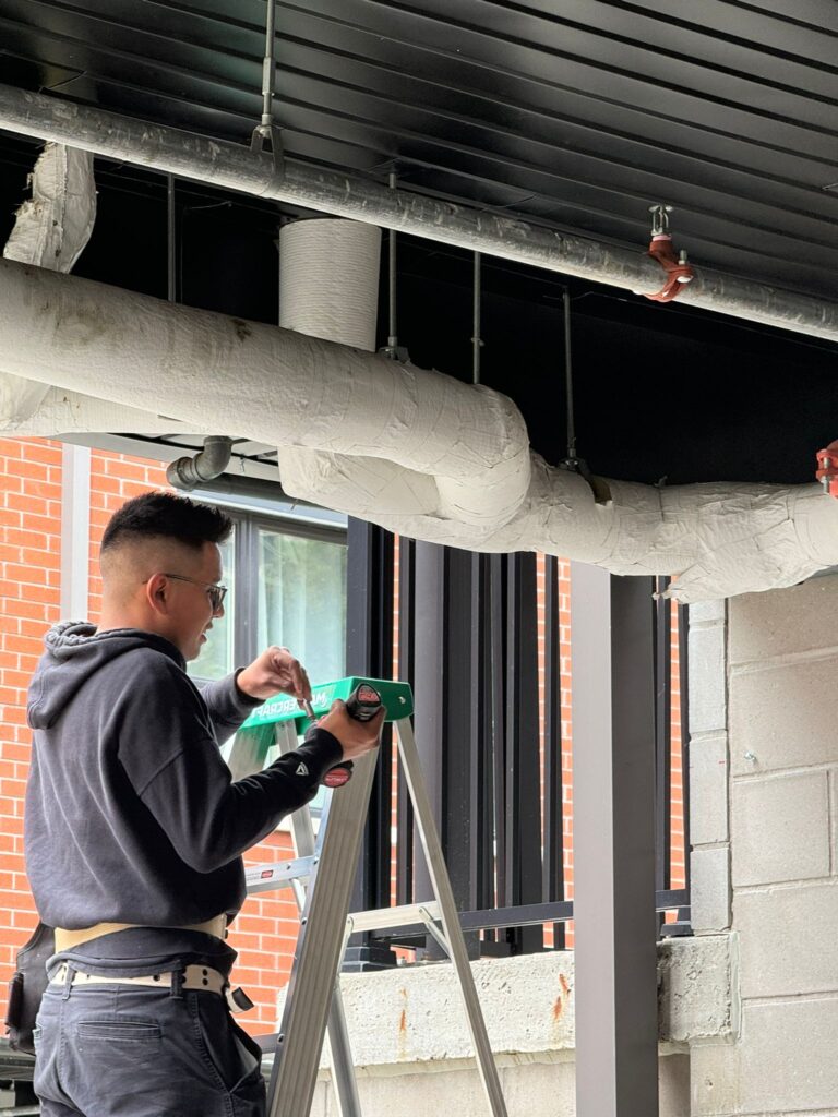 Pigeon control oshawa