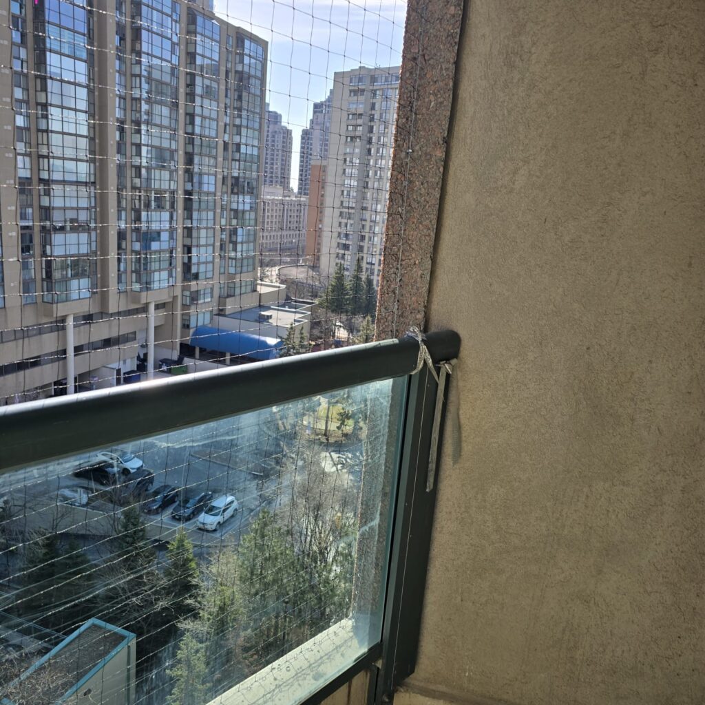 Pigeon-mesh-installation-at-Lorraine-Dr-residence