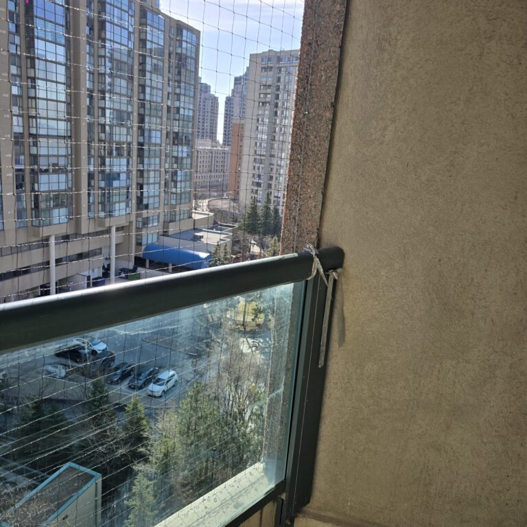 Pigeon-mesh-installation-at-Lorraine-Dr-residence