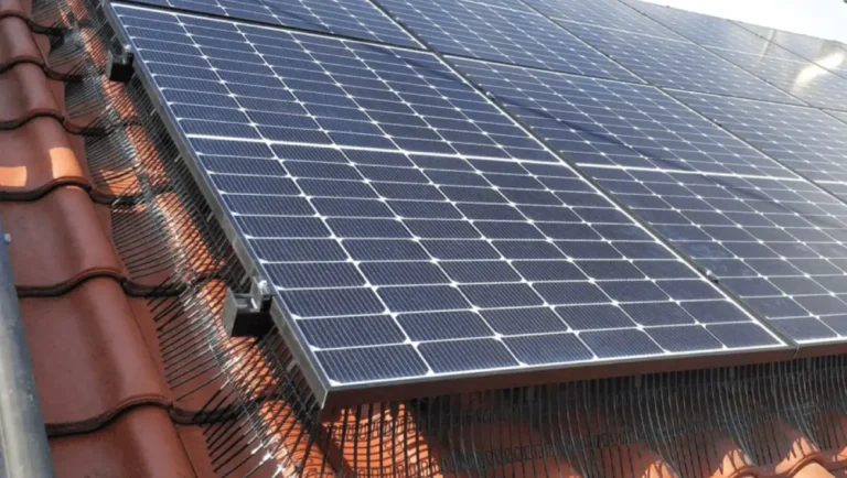 How to Stop Pigeons from Nesting Under My Solar Panels
