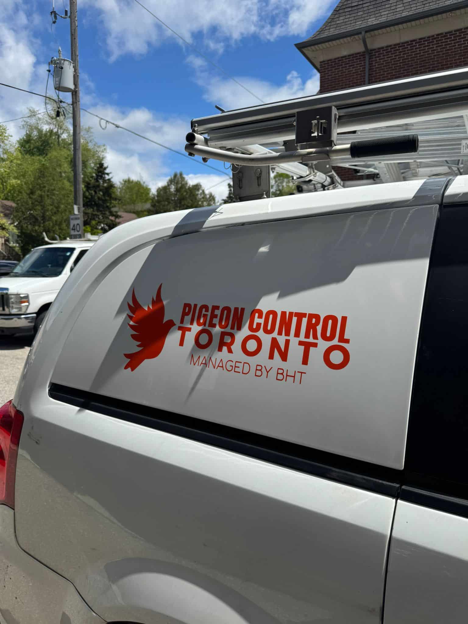 pigeon control in hamilton