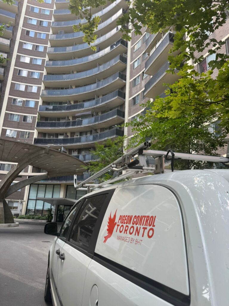 pigeon control Milton Ontario