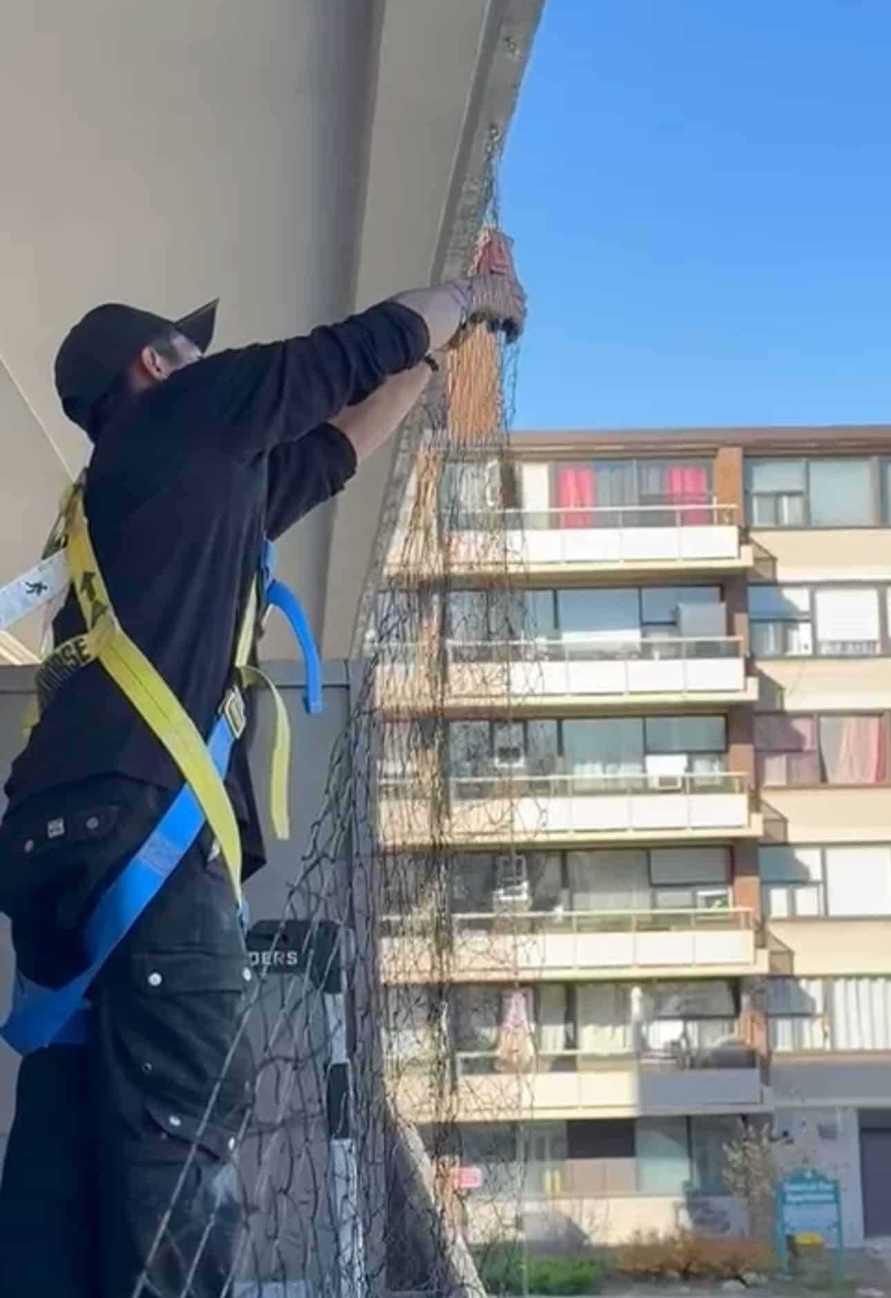 pigeon control mississauga