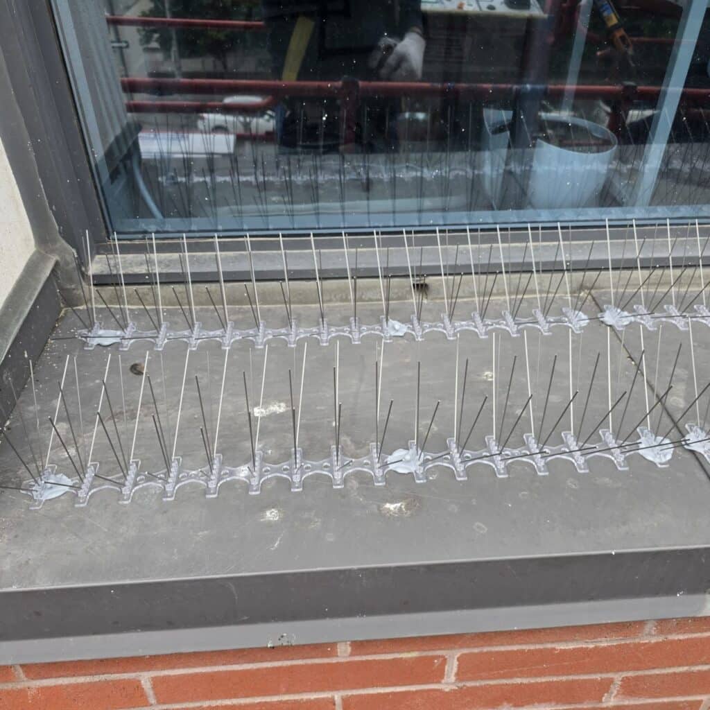 pigeon-spikes-installation-Toronto