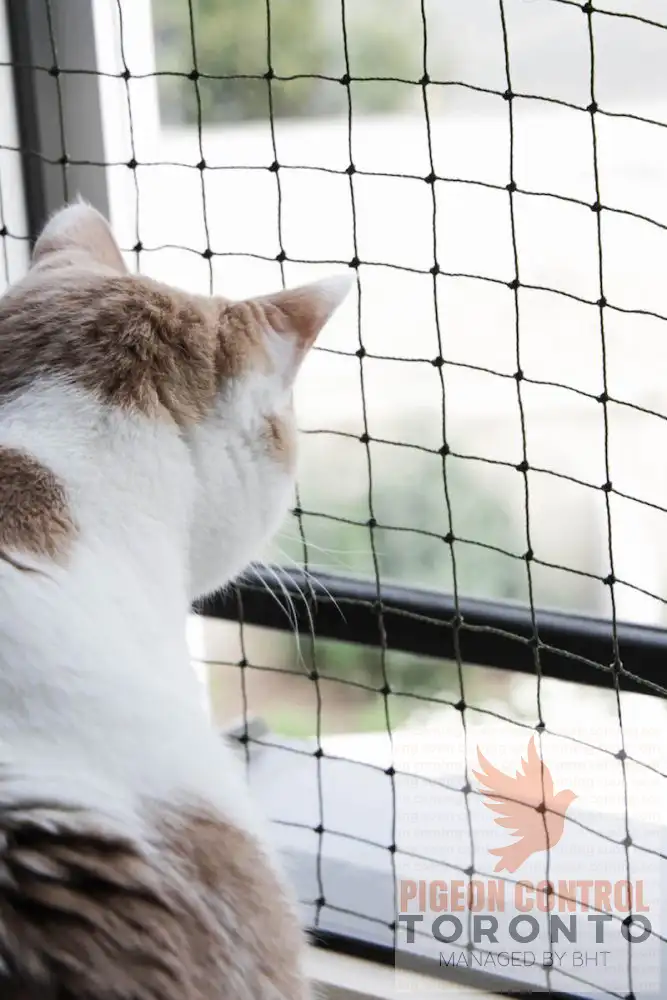 Balcony Netting for Cats