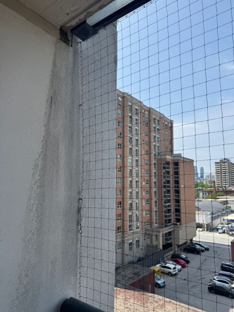 Custom-balcony-bird-barrier-400-Adelaide