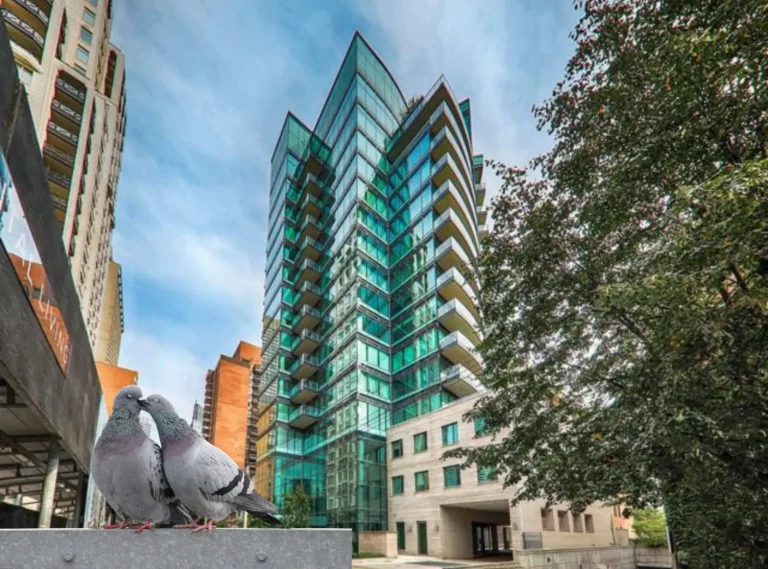 Downtown Toronto Condos