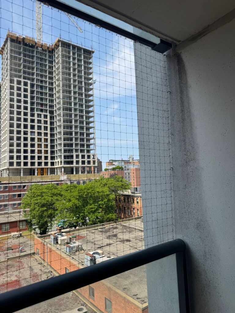 Professional-bird-mesh-downtown-Toronto-building