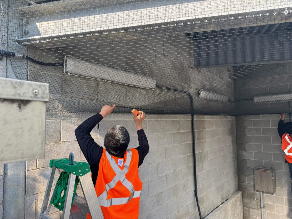 Commercial Pigeon Netting