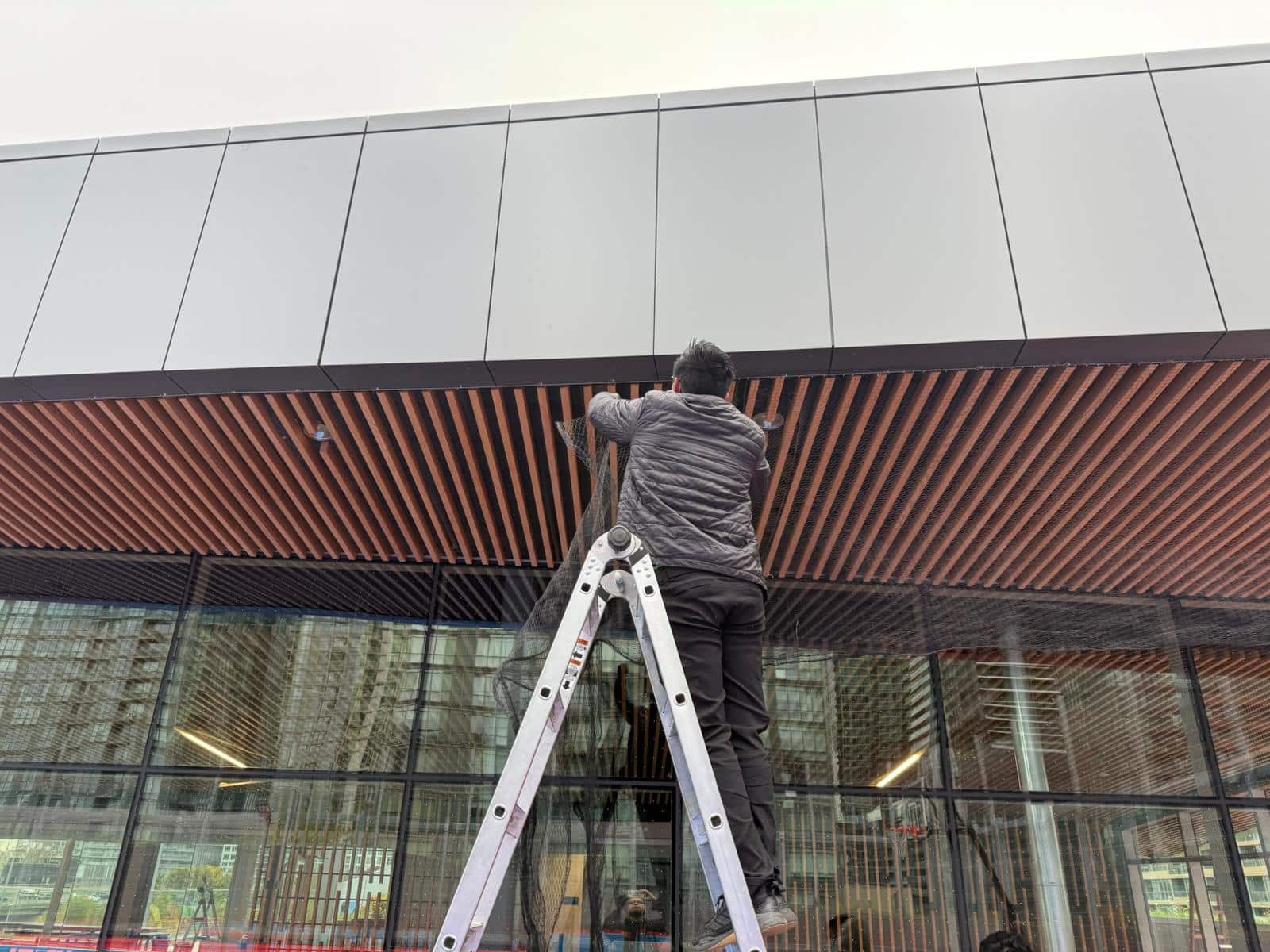 bird-netting-on-commercial-building