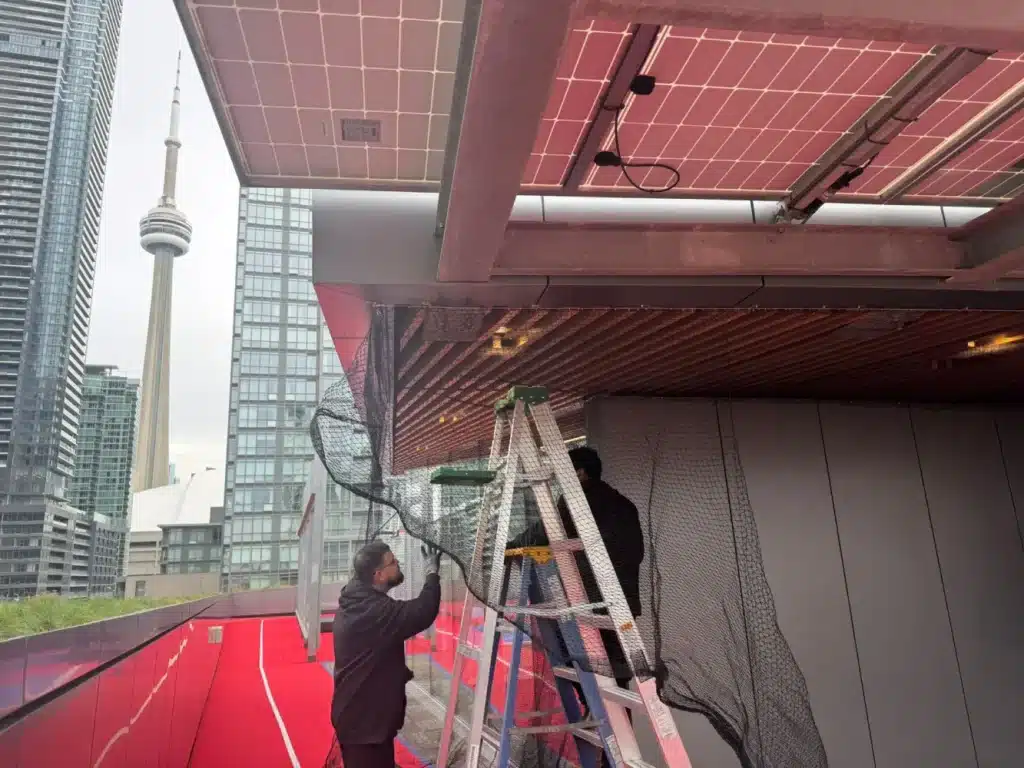 Commercial-project-for-the-installation-of-a-bird-net