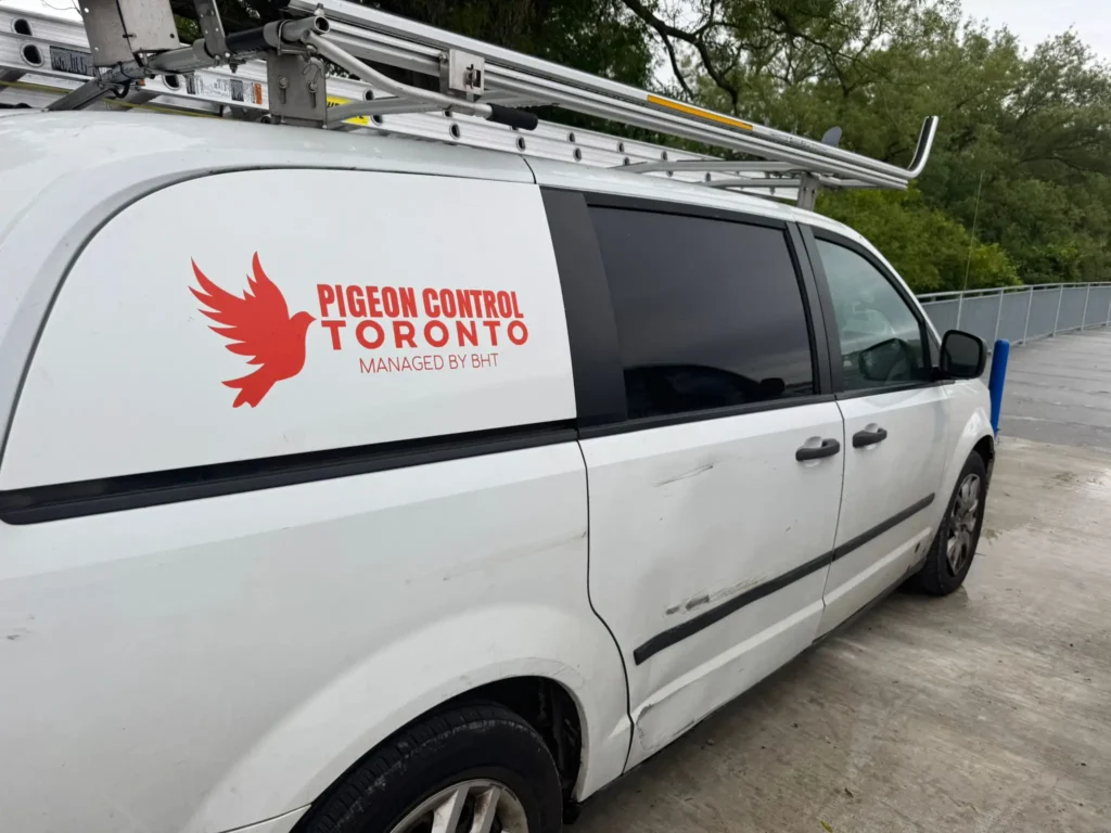 Pigeon Control Toronto company vehicle
