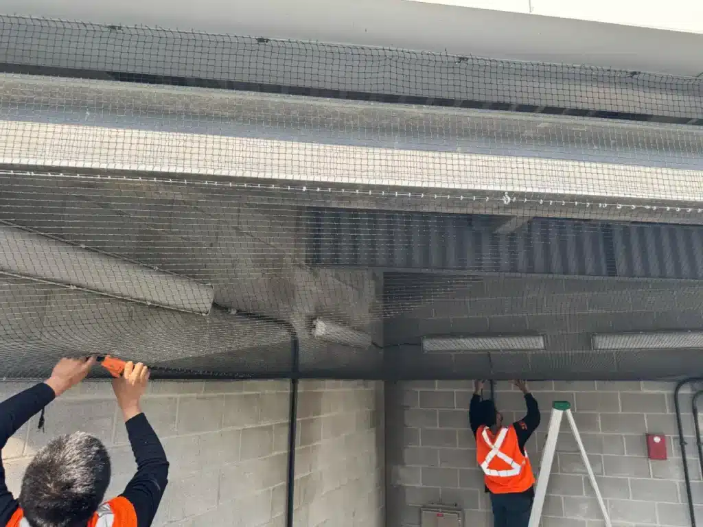 Public-transportation-bird-control-Toronto