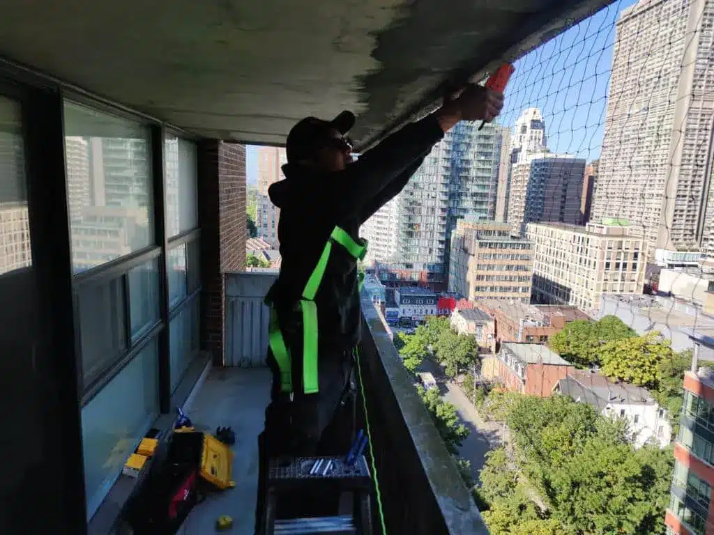 technician installing pigeon netting