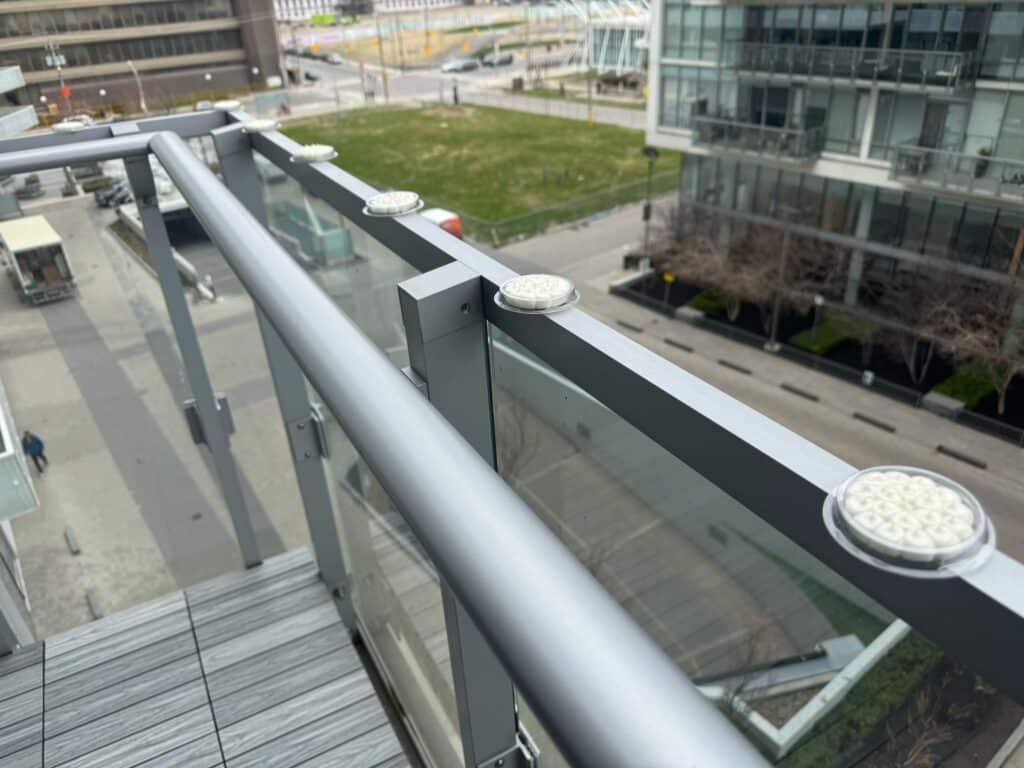 Queens Quay East bird control gel installation